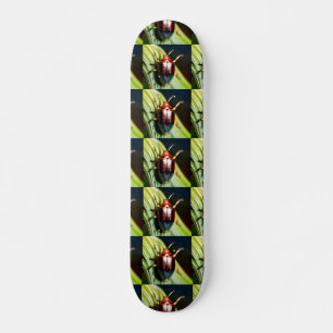 Uitgebrand Persoonlijk Skateboard