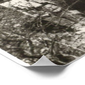 Uitgebreid familieportret van Geronimo Poster (Hoek)