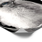 Uitgebreid met afdrukken voor specifiek gebruik poster (Hoek)