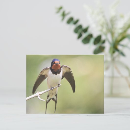 Uitgebreid slikken briefkaart (Staand voorkant)