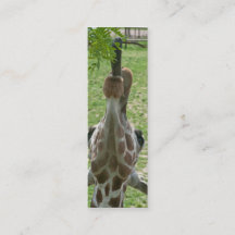 Uitgebreid Tongue Giraffe Bladwijzer