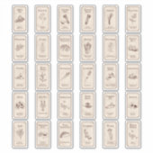 Uitgebreide  Apothecary Spice Labels (Voorkant)