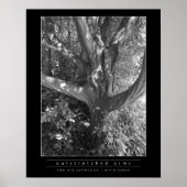 Uitgebreide arm poster (Voorkant)