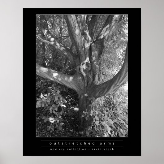 Uitgebreide arm poster (Voorkant)