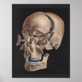 Uitgebreide huidafdruk poster (Voorkant)