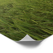 uitgebreide open rijstvelden poster (Hoek)