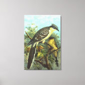 Uitgebreide spotprenten op cuckoo-vogelcanvas afdr canvas afdruk (Voorkant)
