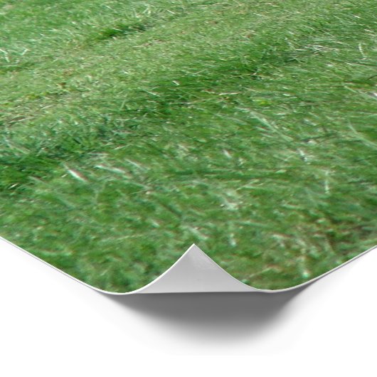 Uitgebreide trot poster (Hoek)