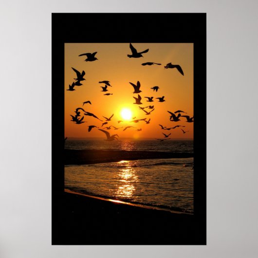 Uitgebreide zonsonderdruk poster (Voorkant)
