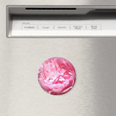 Uitgebroede roze pioen magneet (Insitu (Vaatwasser))
