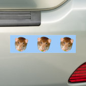 Uitgehongerde Rat Bumper Sticker (Op auto)