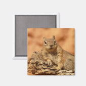 Uitgekoeld rond eekhoorn magneet (Voorkant / Achterkant)