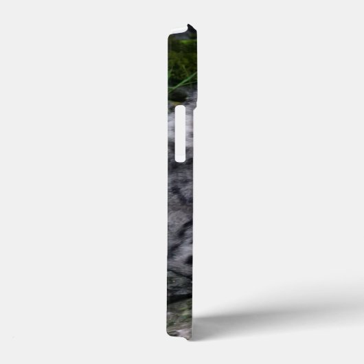 Uitgekoelde sneeuwluipaard Case-Mate iPhone case (Achterkant / Rechts)