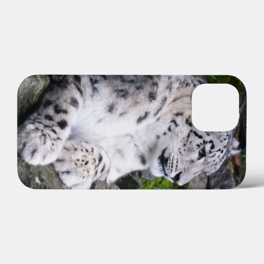 Uitgekoelde sneeuwluipaard Case-Mate iPhone case (Achterkant (horizontaal))