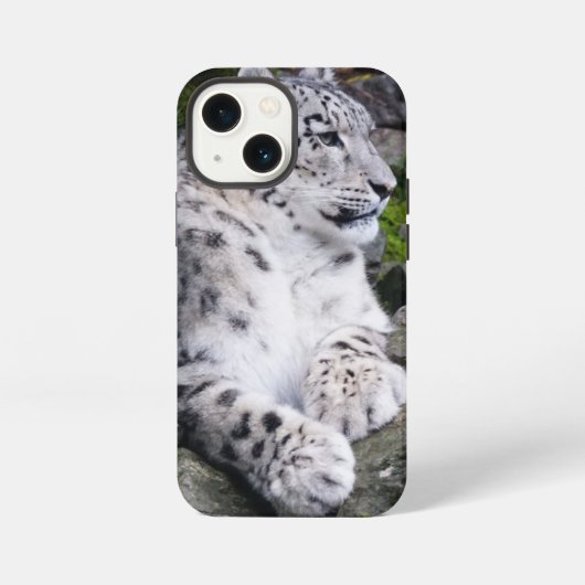 Uitgekoelde sneeuwluipaard iPhone hoesje (Achterkant)
