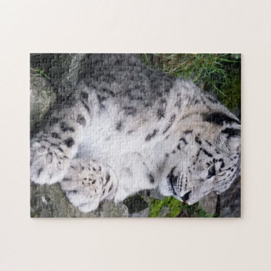 Uitgekoelde sneeuwluipaard legpuzzel (Horizontaal)