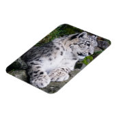 Uitgekoelde sneeuwluipaard magneet (Linkerzijde)