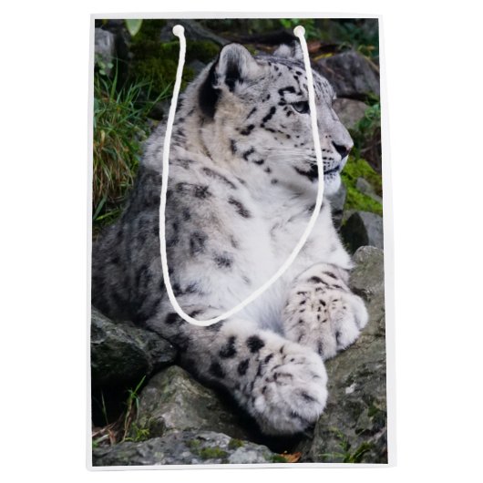 Uitgekoelde sneeuwluipaard medium cadeauzakje (Voorkant)