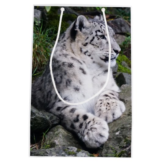 Uitgekoelde sneeuwluipaard medium cadeauzakje (Achterkant)