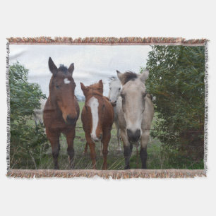 Uitgelaten haar, vier paarden vrienden, deken