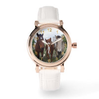 Uitgelaten haar, vier paarden vrienden,