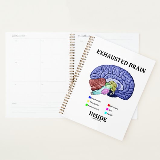 Uitgeput brein in Humor met anatomisch brein Planner (Display)