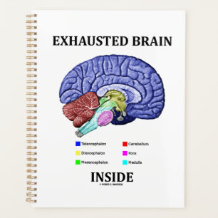 Uitgeput brein in Humor met anatomisch brein Planner