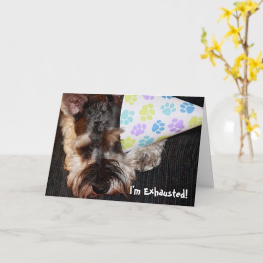 Uitgeputte puppy met feest Pet Verjaardag Kaart (Gele Bloem)