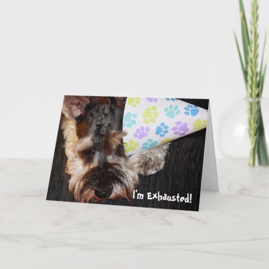 Uitgeputte puppy met feest Pet Verjaardag Kaart (Voorkant)