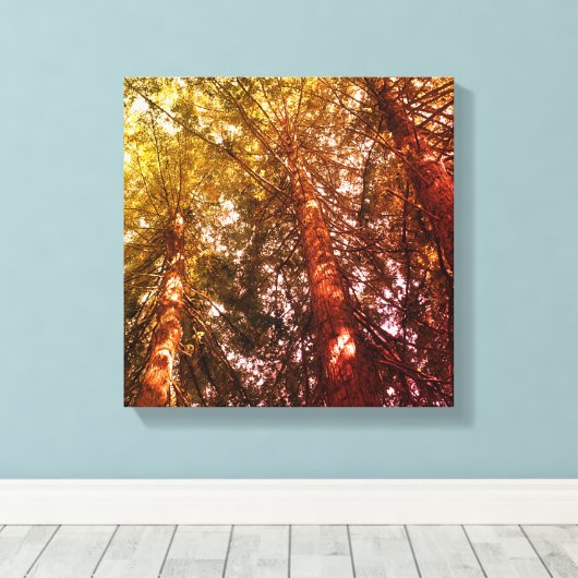 Uitgerekt canvas, in de sequoia's canvas afdruk (Insitu (Houten vloer))