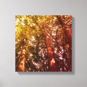 Uitgerekt canvas, in de sequoia's canvas afdruk (Voorkant)
