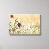 Uitgerekt canvas - Morning Dew (Voorkant)