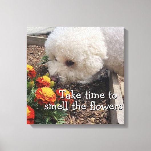 Uitgerekte Canvasprint Canvas Afdruk (Voorkant)