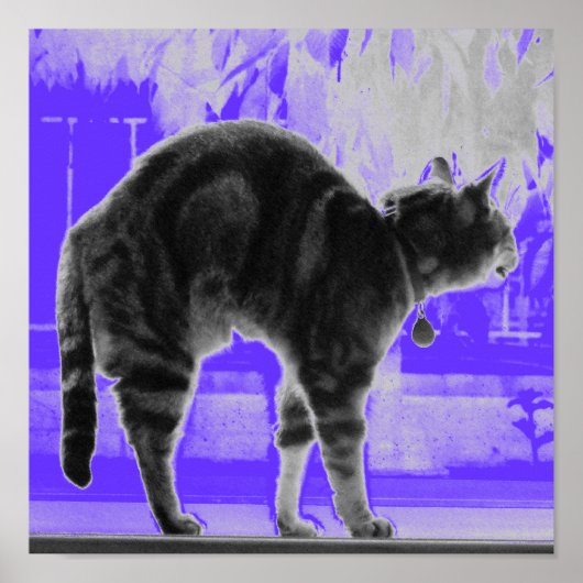 Uitgerekte Indigo B+W Poster (Voorkant)