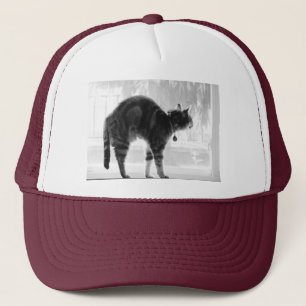 Uitgerekte Indigo Potlood Trucker Pet