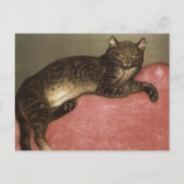 Uitgerekte kat op bank - door Theophile Steinlen Briefkaart (Voorkant)
