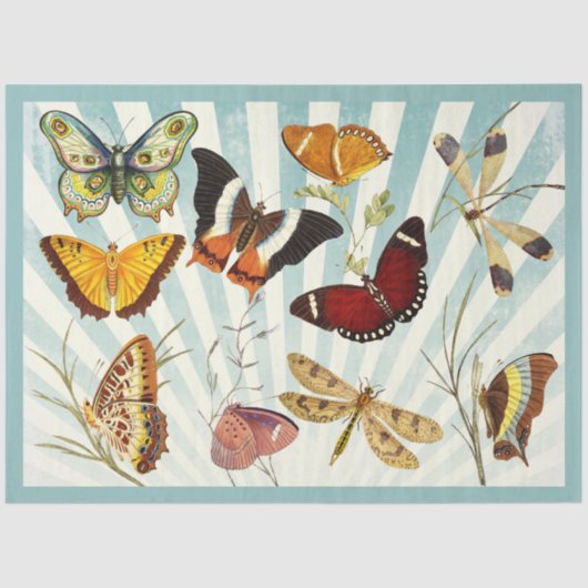 uitgesneden vlinder en gekleurd tissuepapier (Voorkant)