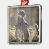 Uitgespreide vleugels van juveniele King Metalen Ornament (Links)