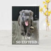 UITGESTELD/ZIJN WOOF KRIJGEN OP "U BENT 40"-KAART KAART (Gele Bloem)