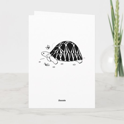  uitgestraalde schildpad Kaart (Achterkant)