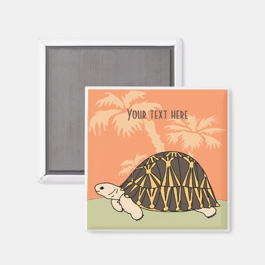 uitgestraalde schildpad magneet 3 (Voorkant / Achterkant)