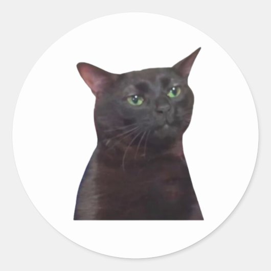 Uitgestreken Kat, Zwarte Kat Uitgestreept Meme Ronde Sticker (Voorkant)
