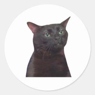 Uitgestreken Kat, Zwarte Kat Uitgestreept Meme Ronde Sticker