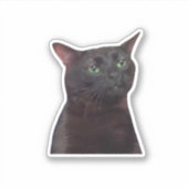 Uitgestreken Kat, Zwarte Kat Uitgestreept Meme Sticker (Voorkant)
