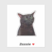 Uitgestreken Kat, Zwarte Kat Uitgestreept Meme Sticker (Vel)