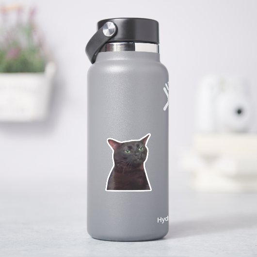 Uitgestreken Kat, Zwarte Kat Uitgestreept Meme Sticker (HydroFlask)