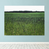 Uitgestrekt groen veld onder heldere hemel canvas afdruk (Insitu (Houten vloer))