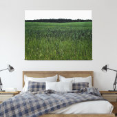 Uitgestrekt groen veld onder heldere hemel canvas afdruk (Insitu (Slaapkamer))