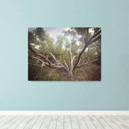 Uitgestrekte armen canvas afdruk (Insitu (Houten vloer))