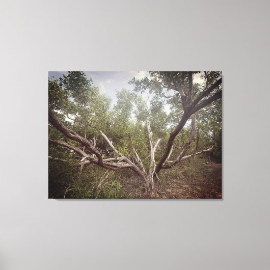 Uitgestrekte armen canvas afdruk (Voorkant)